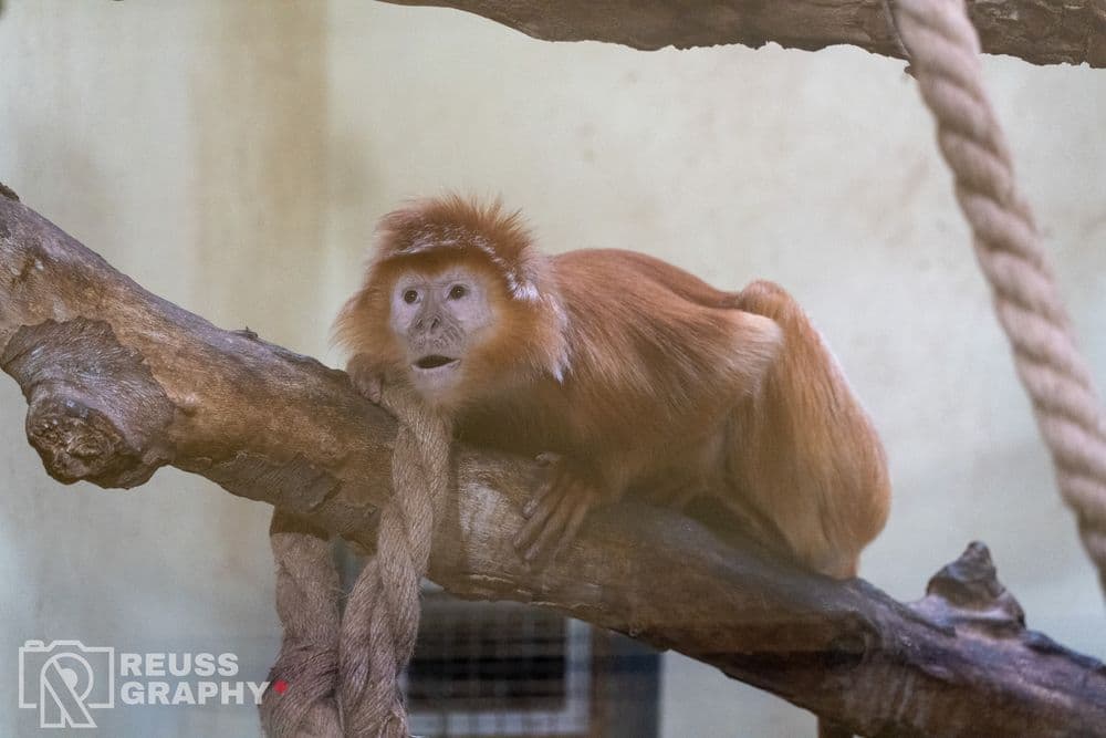 ZOO, zdjęcie 10